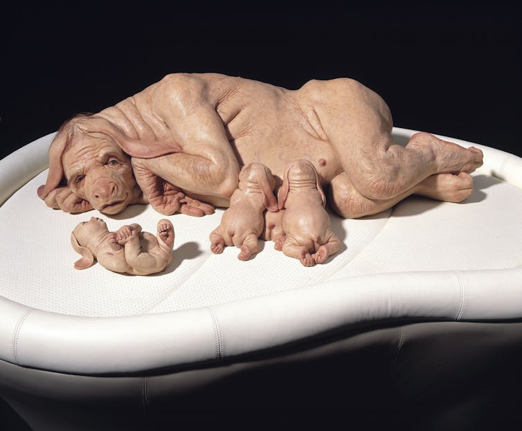 With affection and humour, Patricia Piccinini probes the boundaries of human and other