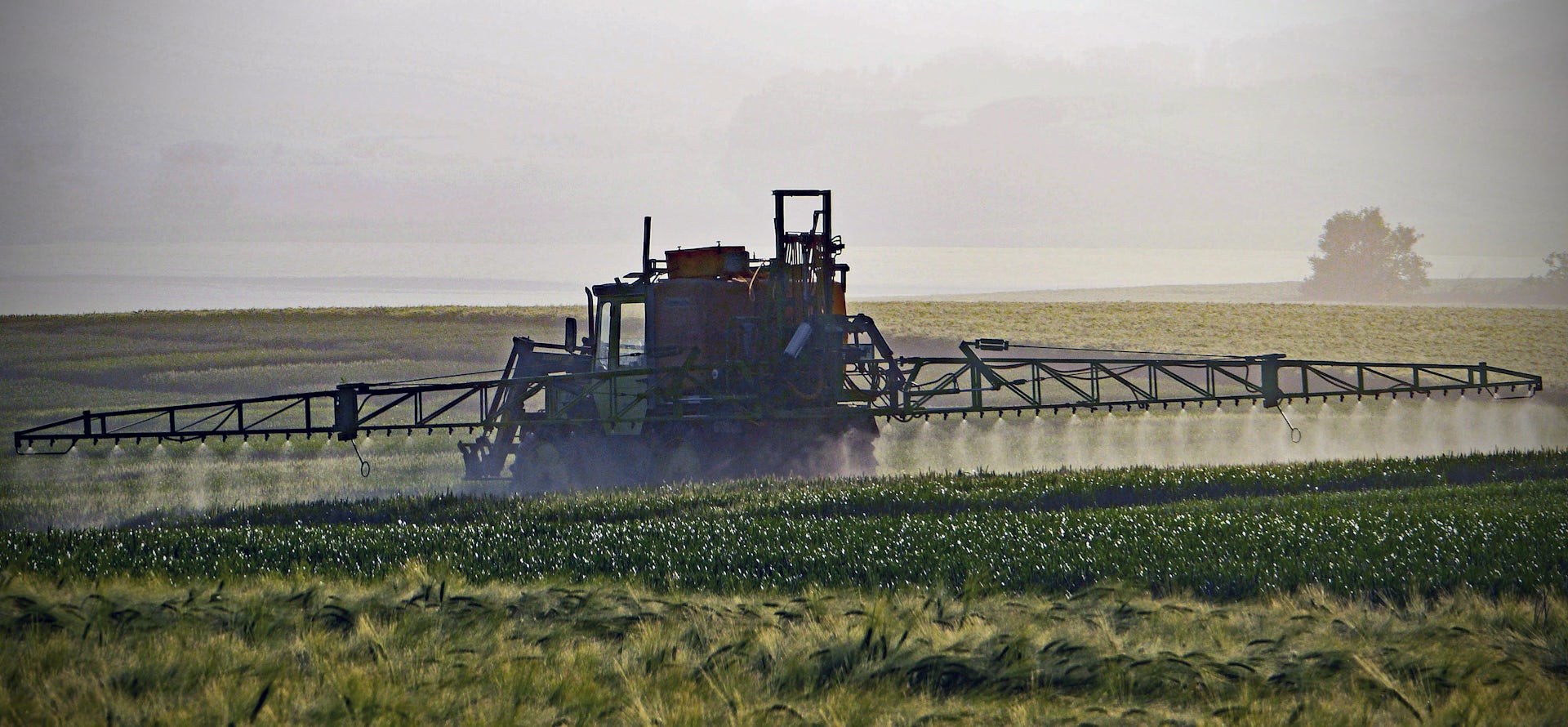 Business plan pl 3 5 0 keygen picture