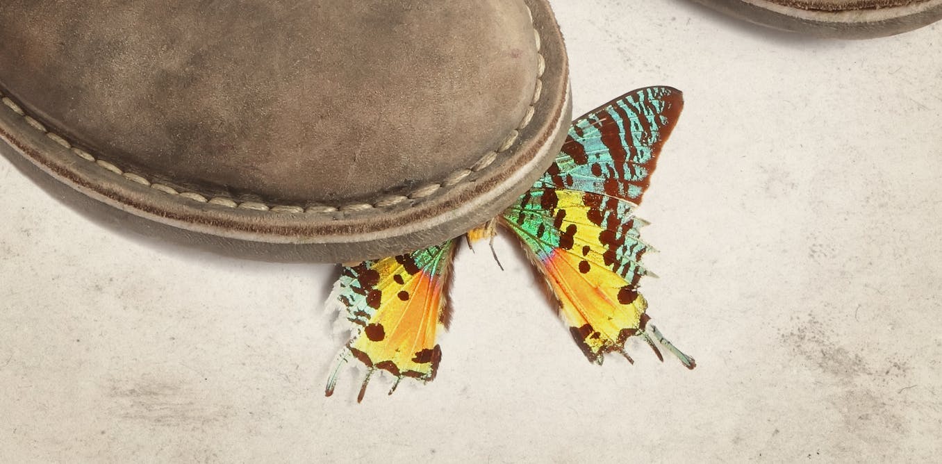 Would standing on the first butterfly really change the history of ...