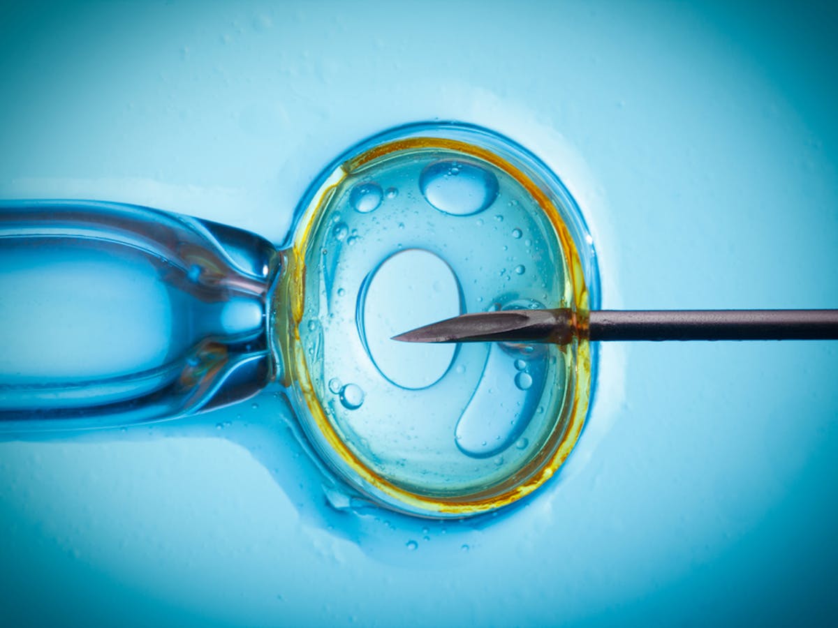 Six things you should know if you are considering freezing your eggs