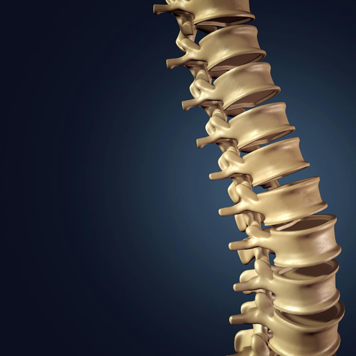 Get Best Way To Avoid Back Pain Lift Heavy Things For Android Free Get Wallpaper Best Way To Avoid Back Pain Lift Heavy Things For iPhone Free