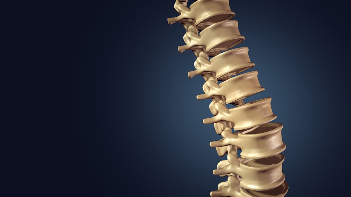 Best Way To Avoid Back Pain Lift Heavy Things