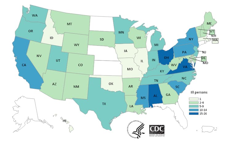 A chicken in every backyard: Urban poultry needs more regulation to protect human and animal health