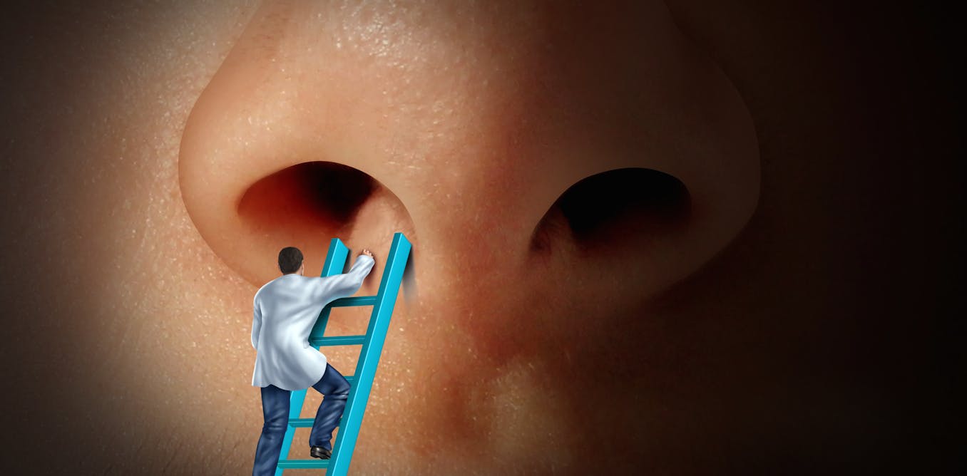 Why Are Fewer And Fewer Americans Fixing Their Noses