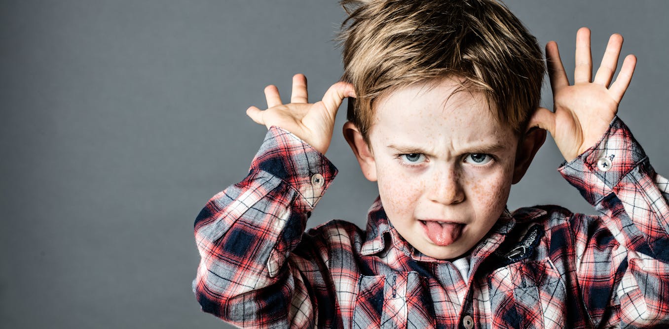 That's just rude: why being polite may not be a universal concept