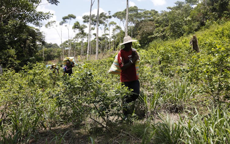 Colombia's murder rate is at an all-time low but its activists keep getting killed