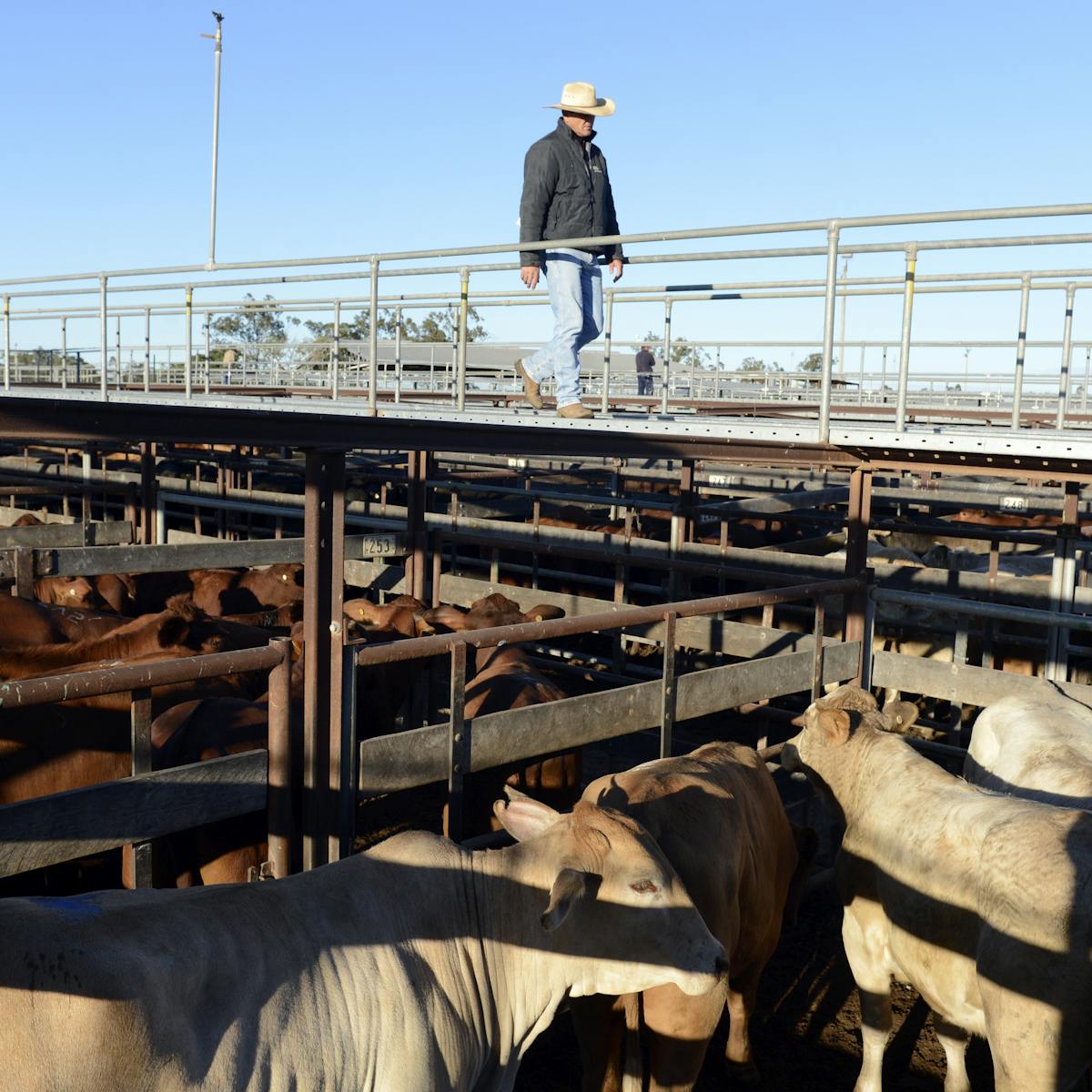 Move Over Canada And Eu Australia Is Best Placed To Benefit In The Us China Trade Tug Of War Move Over Canada And Eu Australia Is Best Placed To Benefit In The Us China Trade Tug Of War