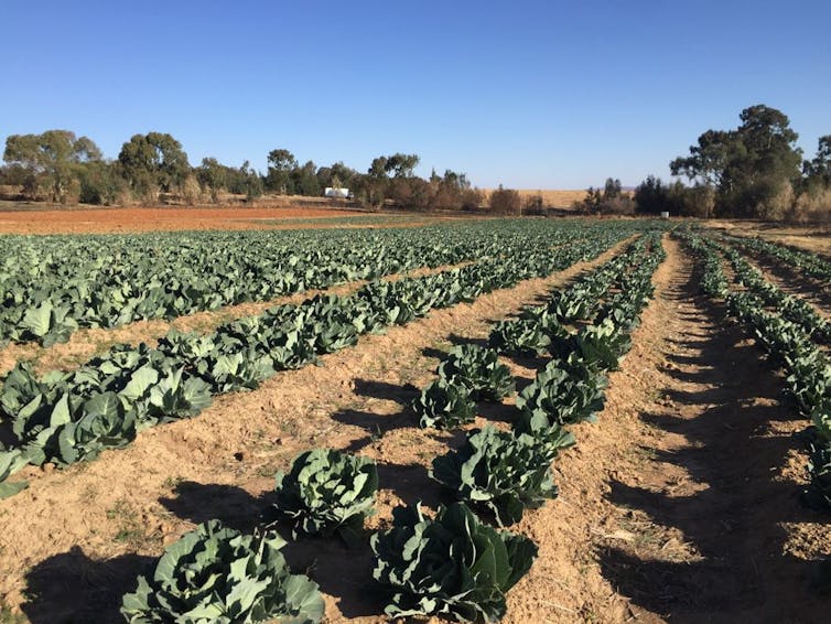 File 20180405 95689 e1odr9.jpg?ixlib=rb 1.1