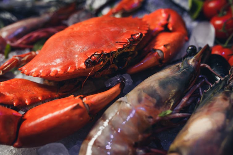 Why do crab and prawn shells go red after they have been cooked?