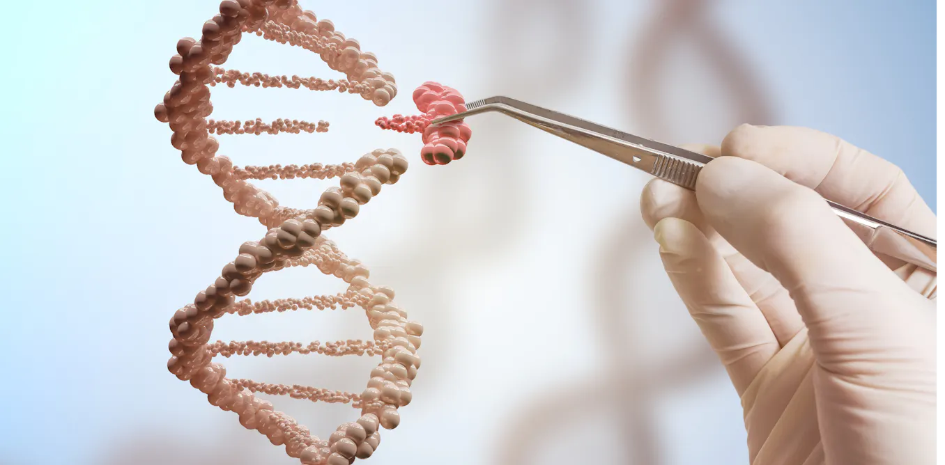 Harmless Mutations Examples Harmful genetic mutations may be less common than we thought