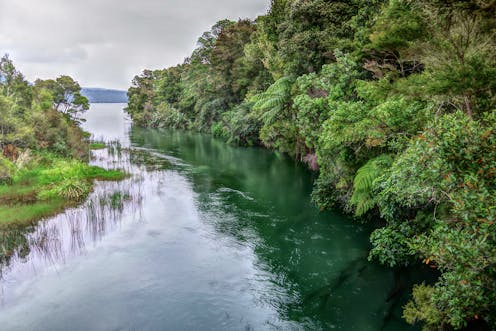 Six ways to improve water quality in New Zealand's lakes and rivers