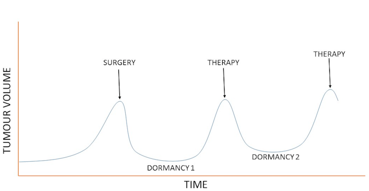 Figure 1. An example of prostate <a target=