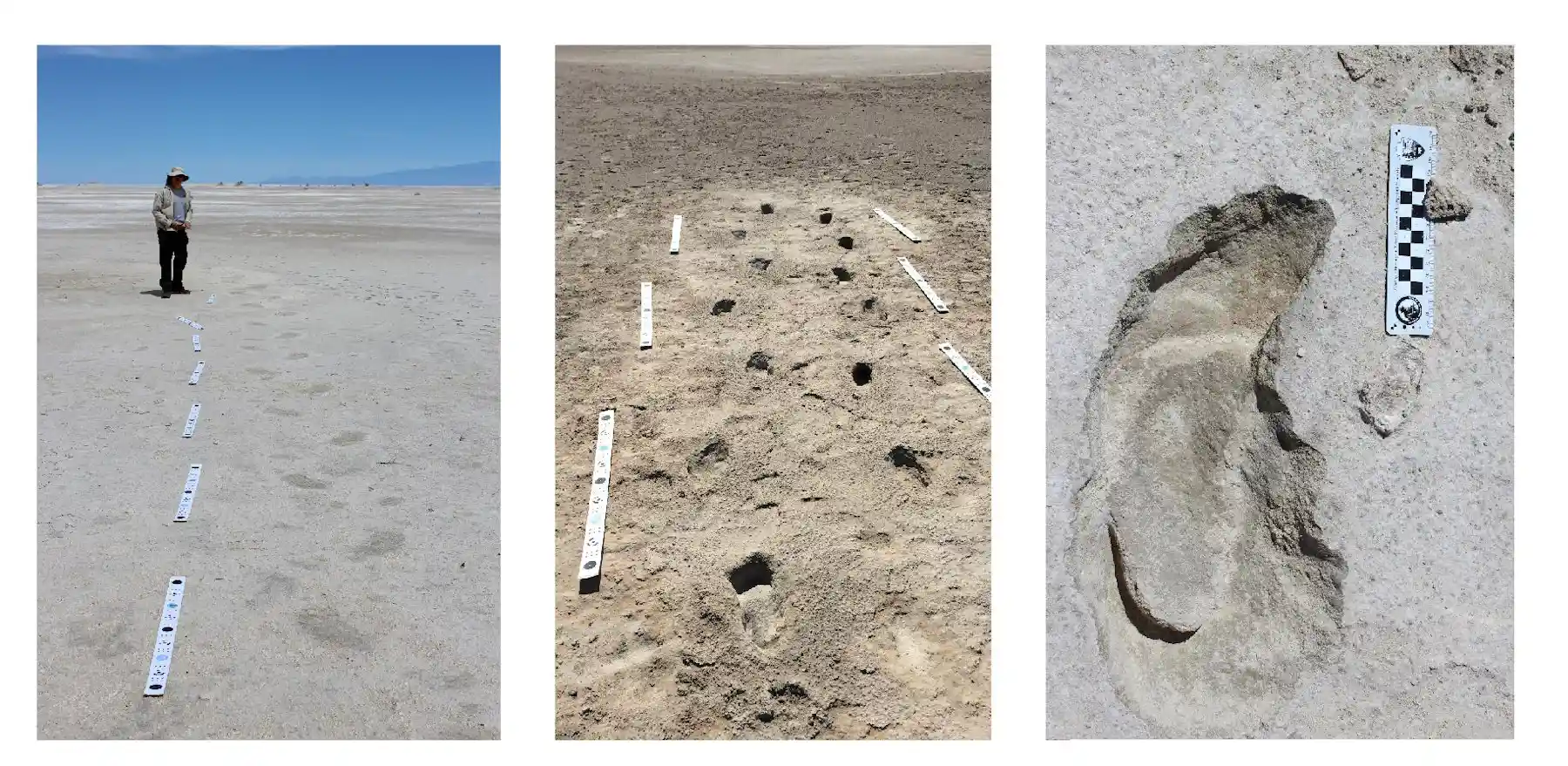 How to hunt a giant sloth – according to ancient human footprints