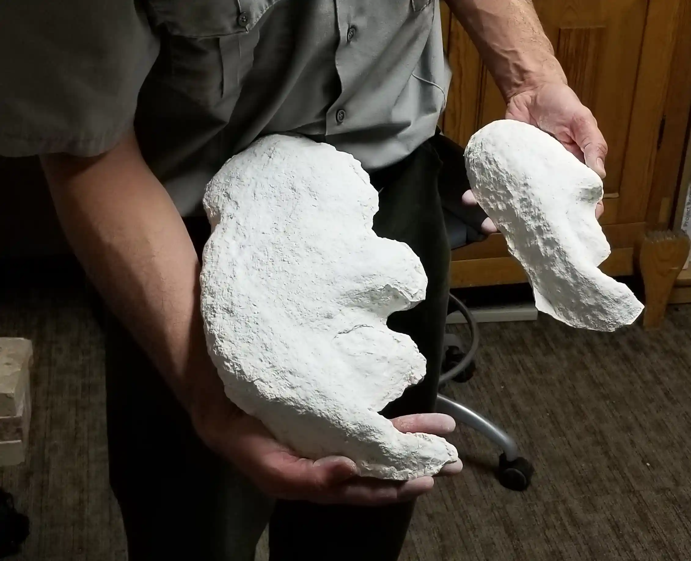 How to hunt a giant sloth – according to ancient human footprints