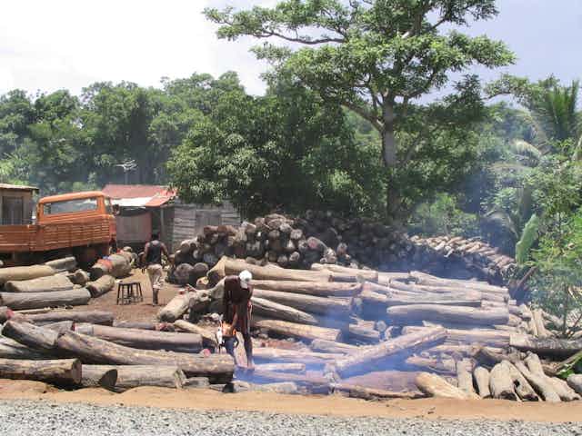 Timber Trade Company