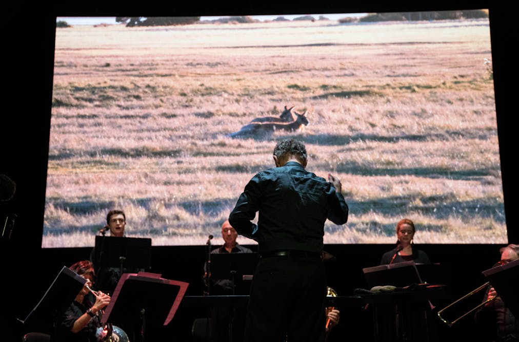 Tasmania's Black War a tragic case of lest we remember? Tasmania's Black War a tragic case of lest we remember?