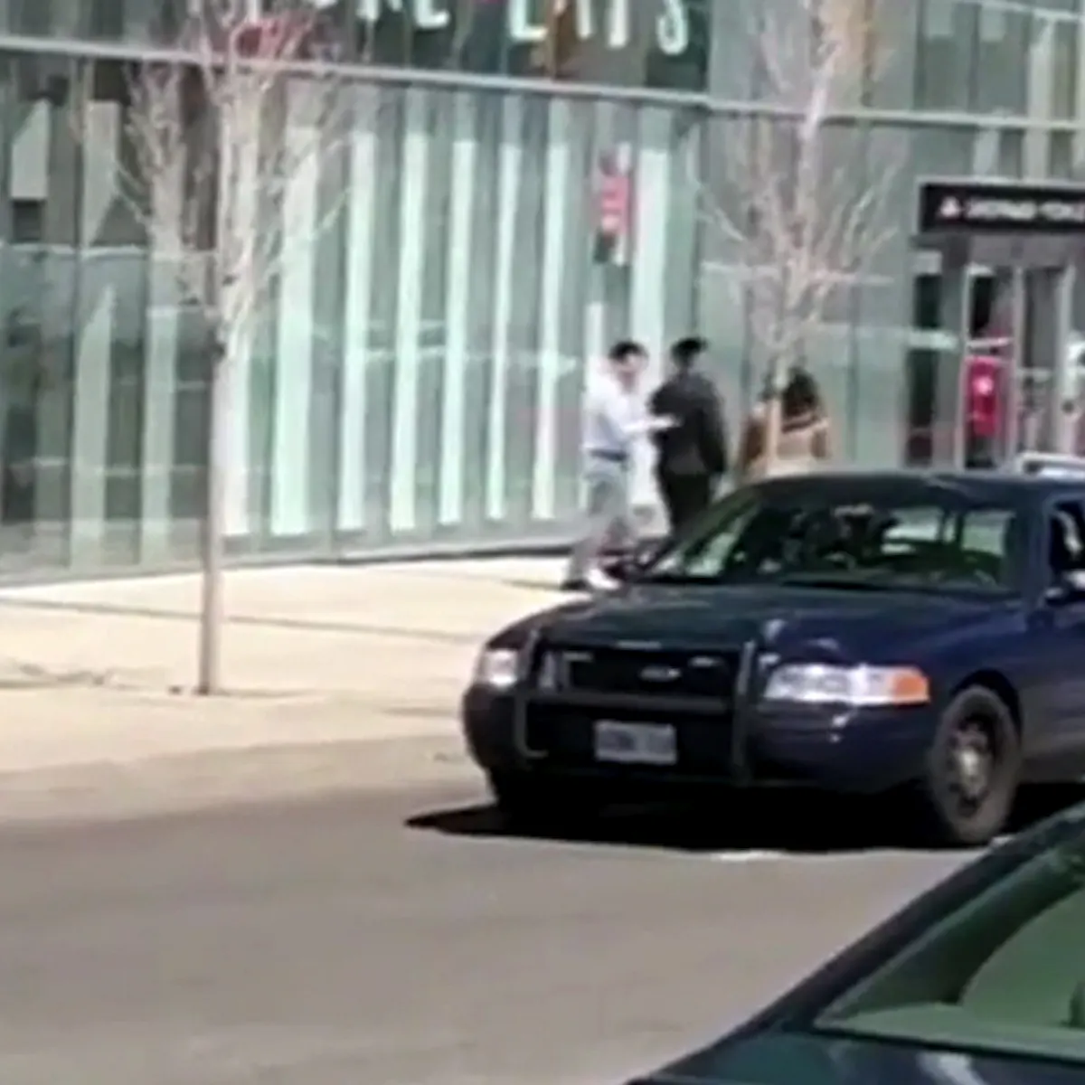 Why Didn T He Shoot The Toronto Cop Who Did Everything Right