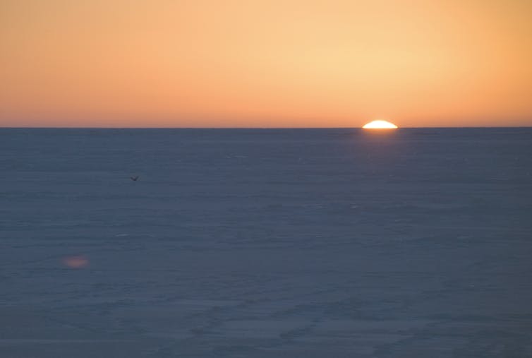 File 20180425 175050 1rnqanl.jpg?ixlib=rb 1.1