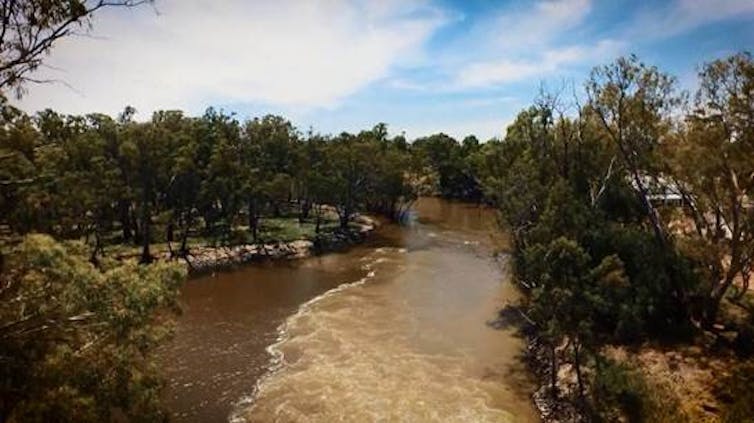 It will take decades, but the Murray Darling Basin Plan is delivering environmental improvements