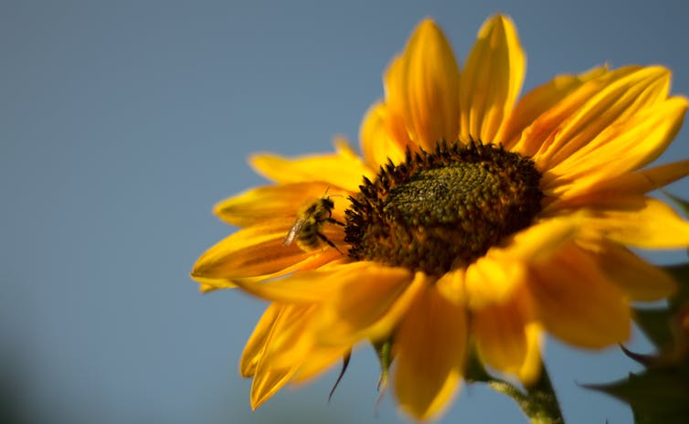 File 20180429 135810 1by4of1.jpg?ixlib=rb 1.1