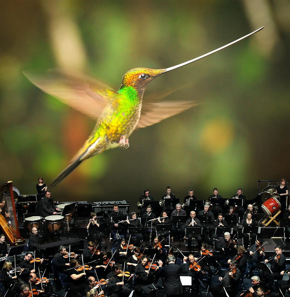 Intermission Intermission