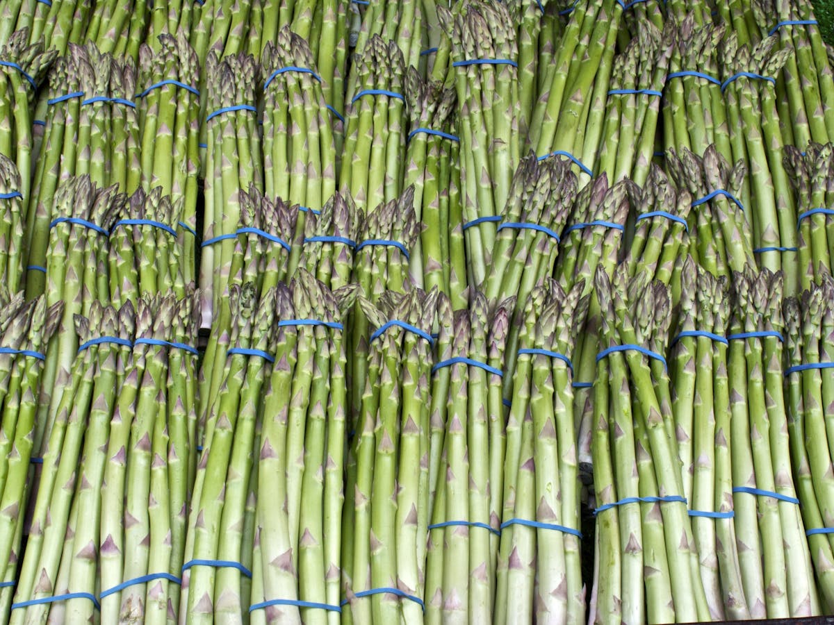 That Distinctive Springtime Smell Asparagus Pee