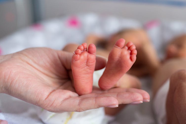 Reading and singing to preemies helps parents feel comfortable with their fragile babies