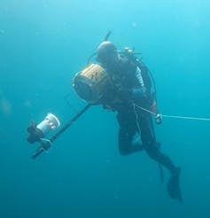 Meet the ocean creatures that use a mesh of mucus to catch their food