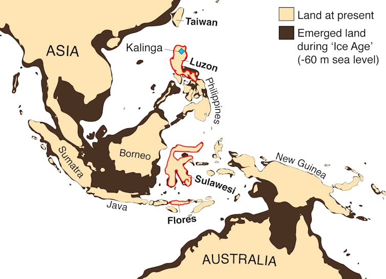 Rhino fossil rewrites the earliest human history of the Philippines