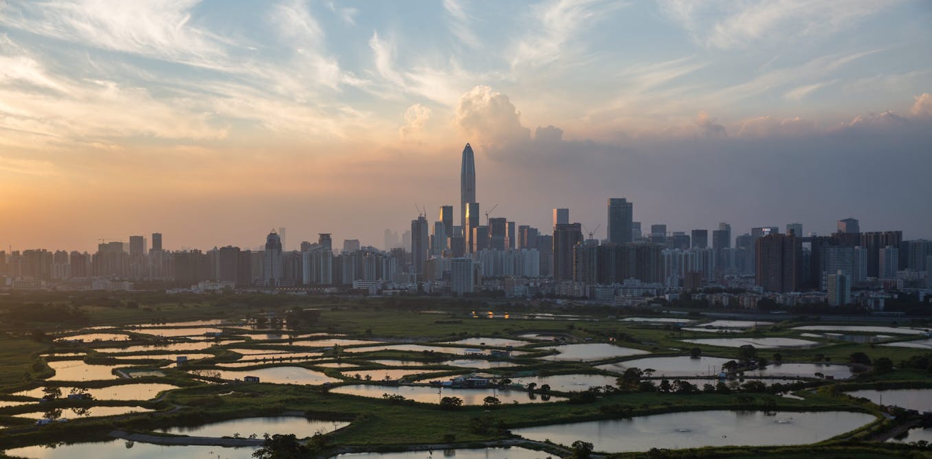 Xiong Xiong, free copyright images, images of china