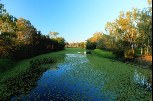 Toxin linked to motor neuron disease found in Australian algal blooms