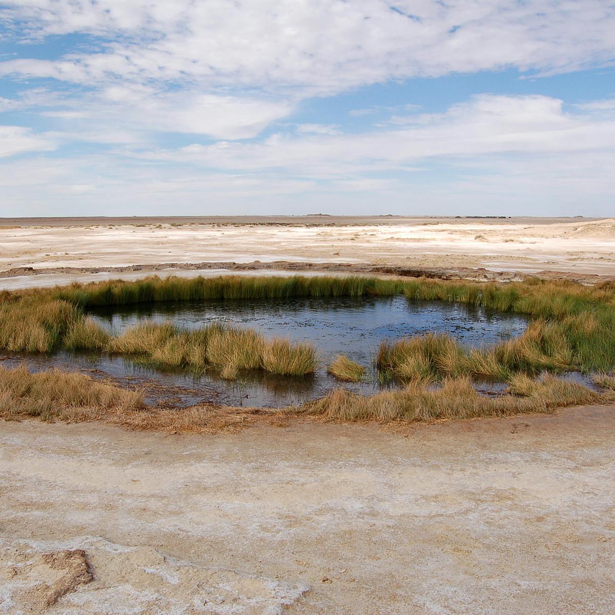 Water In Water Out Assessing The Future Of The Great Artesian Basin Water In Water Out Assessing The Future Of The Great Artesian Basin