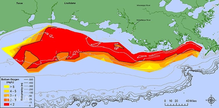 Dead zones are a global water pollution challenge – but with sustained effort they can come back to life