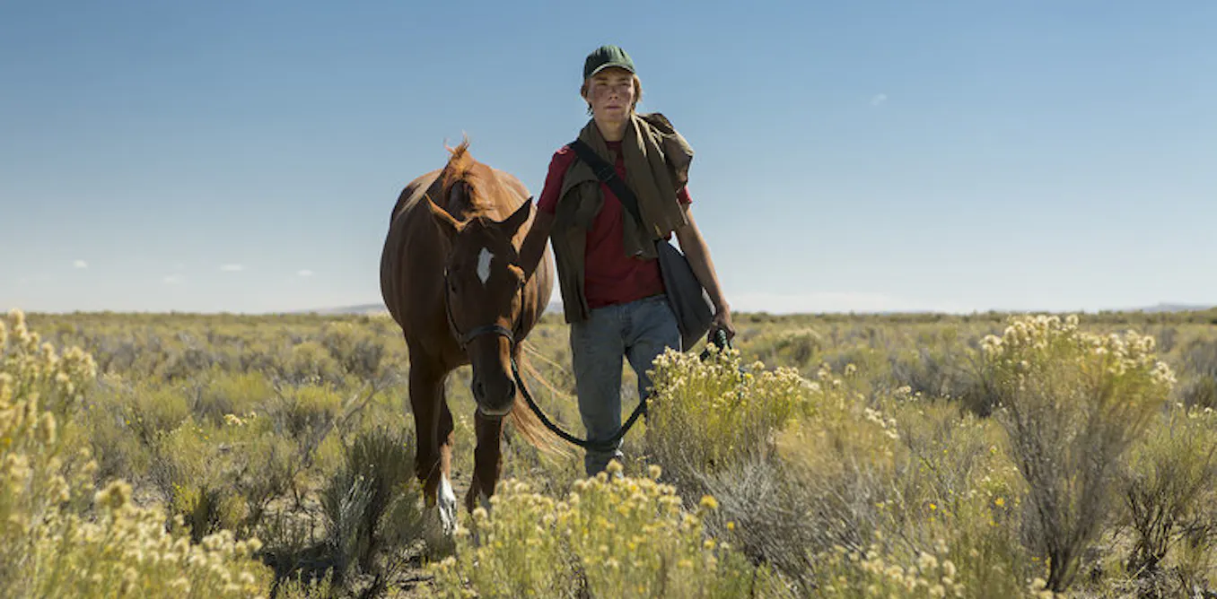 Cheval Humain Touch forms the foundation of the powerful human-horse relationship