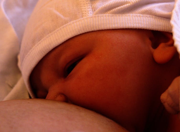 File 20180507 46350 1dikjlh.jpg?ixlib=rb 1.1