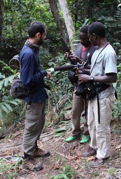 Studying chimpanzee calls for clues about the origins of human language