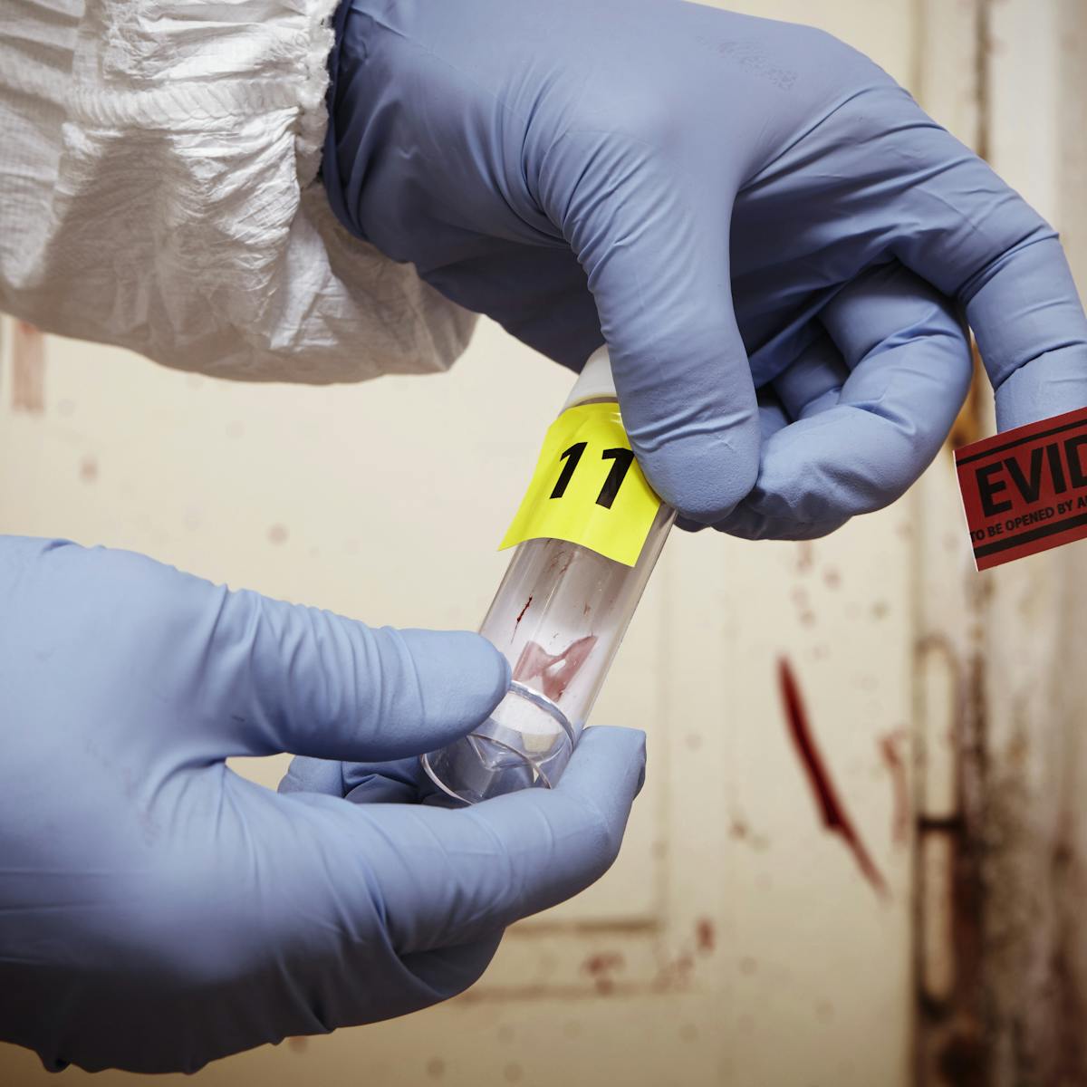 Police Scientifique Du Nouveau Pour Dater Les Crimes Police Scientifique Du Nouveau Pour Dater Les Crimes