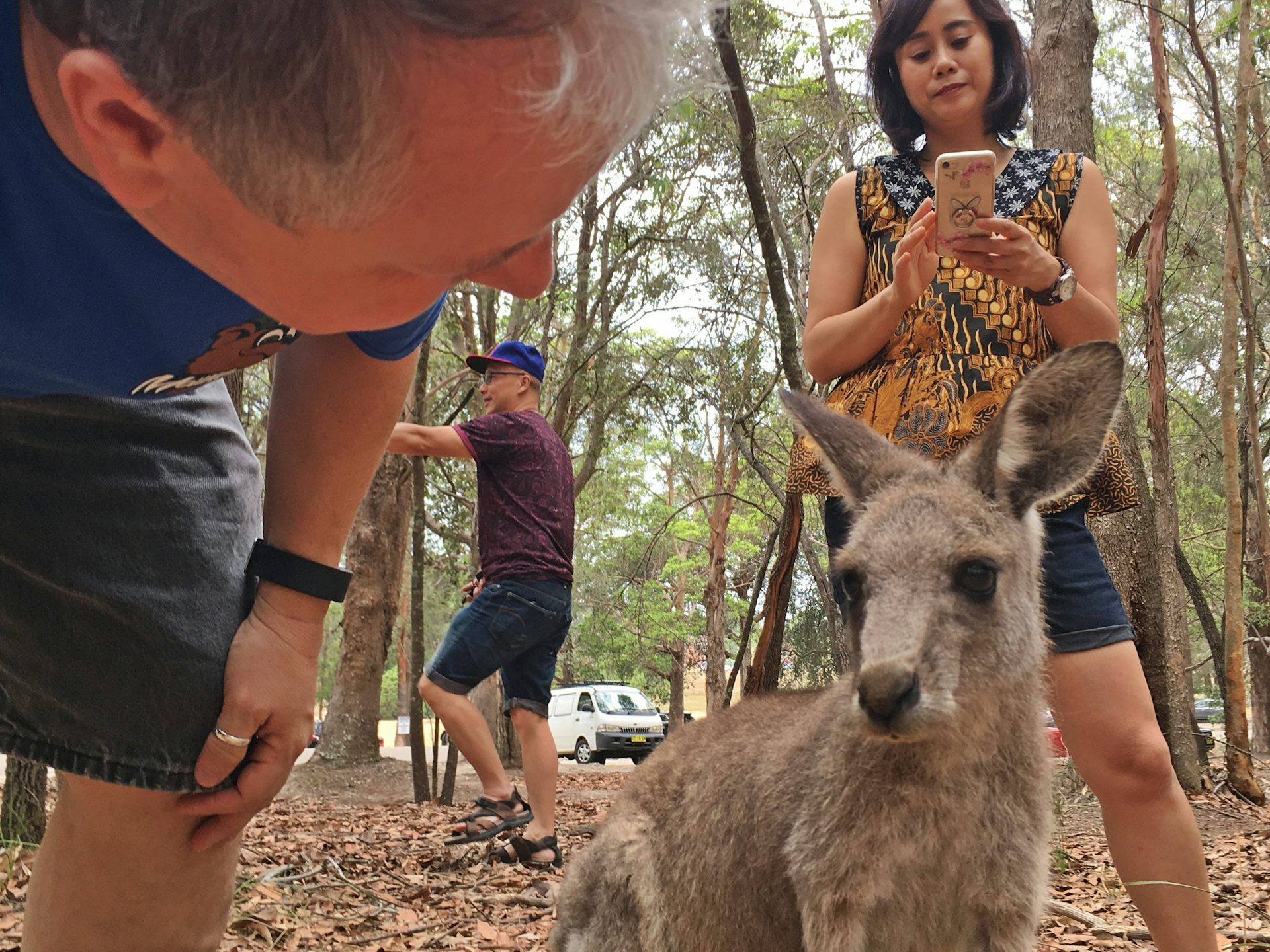Is That Selfie Really Worth it? Why Face Time With Wild Animals is a Bad Idea
