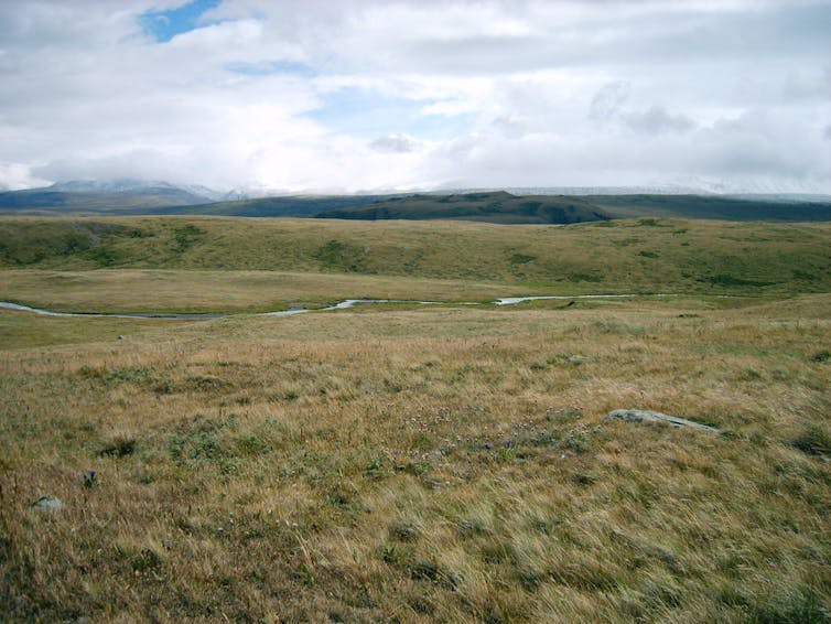 the peninsular plateau wikipedia