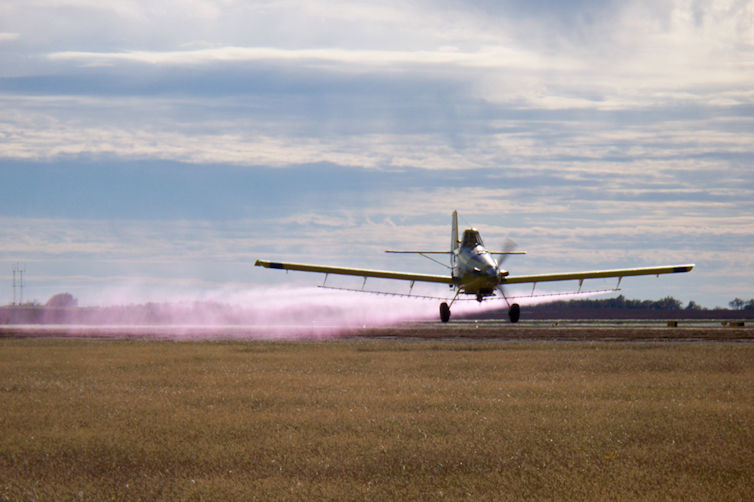 Farmers and cropdusting pilots on the Great Plains worried about pesticide risks before 'Silent Spring'