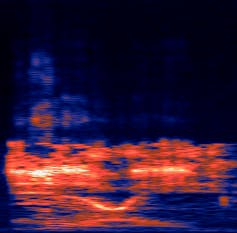 Yanny or Laurel? It's your brain not your ears that decides