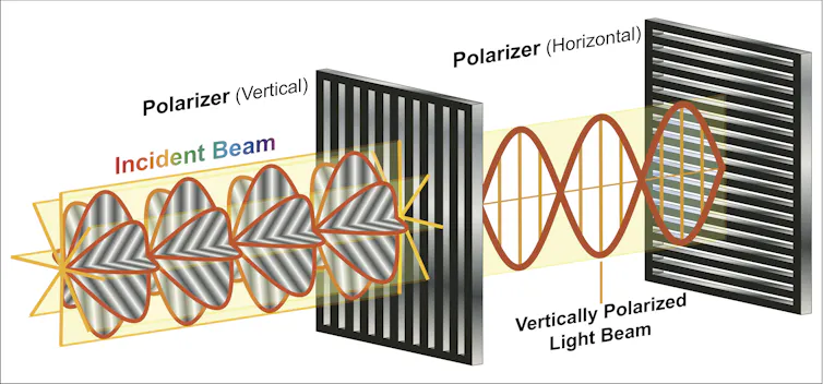 diagram of only vertical lightwaves passing through filter