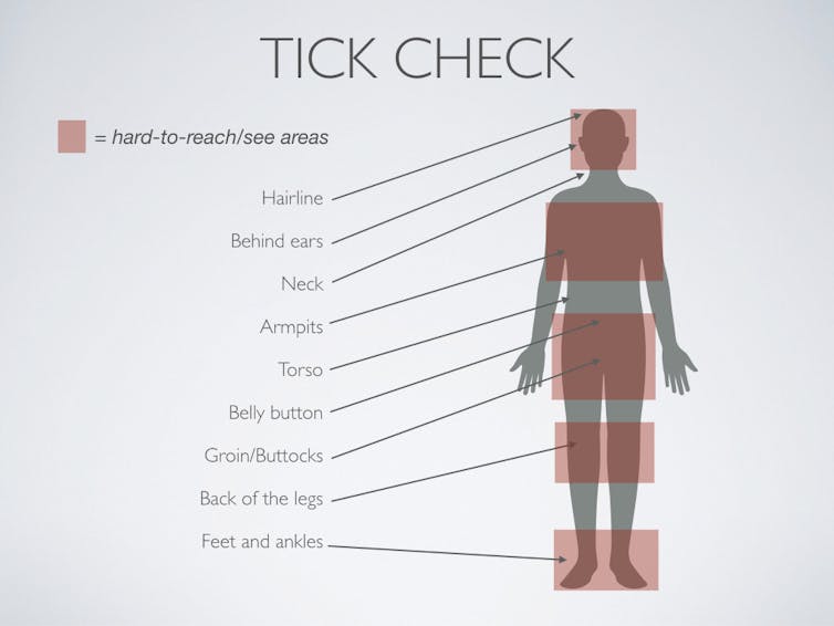 Ticks and mosquitoes bringing more diseases – what can we do?