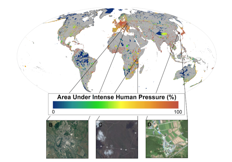 One-third of the world's nature reserves are under threat from humans