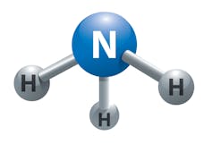 Toward sustainable ammonia production