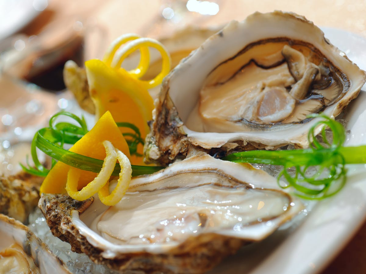 Why you may never eat raw oysters again Why you may never eat raw oysters again
