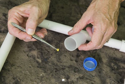 We have no idea how much microplastic is in Australia's soil (but it could be a lot)