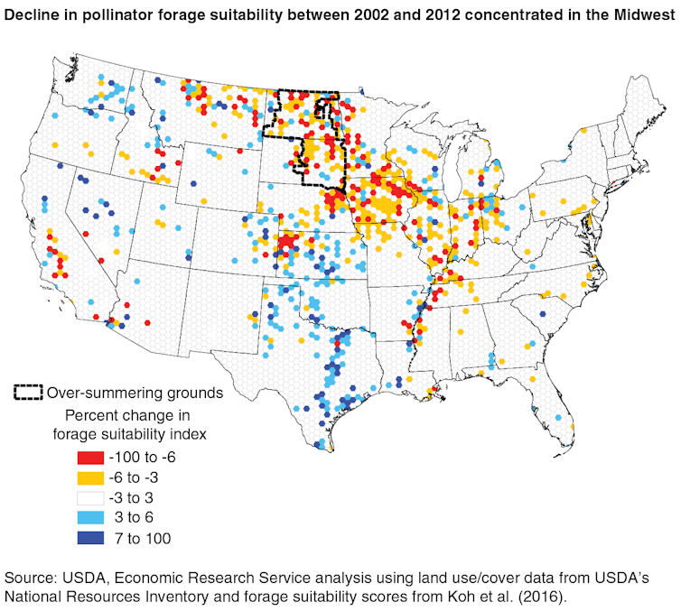 Beyond honey bees: Wild bees are also key pollinators, and some species are disappearing