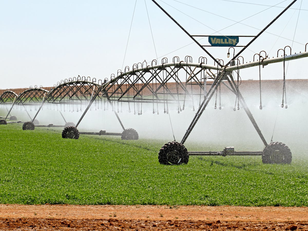 Land Reform And Hunger In South Africa Why The Two Go Hand In Hand