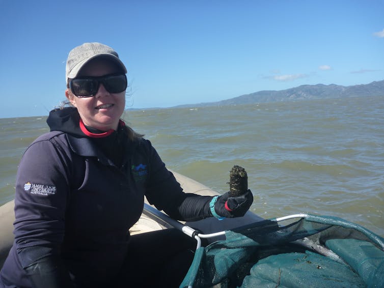 Dugong and sea turtle poo sheds new light on the Great Barrier Reef's seagrass meadows